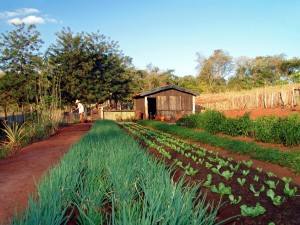 15 conselhos aos futuros jovens agricultores