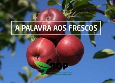 16º episódio d’ A Palavra aos Frescos apresenta Organização de Produtores NARC FRUTAS, C.R.L.