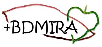 2º Dia Aberto +BDMIRA realiza-se em setembro