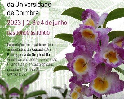 2ª exposição internacional de orquídeas de Coimbra