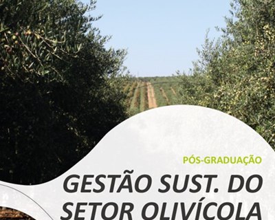 2ª fase de candidaturas à Pós-Graduação em “Gestão Sustentável do Setor Olivícola”, a decorrer no IPBeja