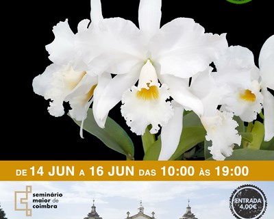 3ª exposição/venda internacional de orquídeas de Coimbra