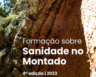 4ª edição da formação sobre a Sanidade no Montado