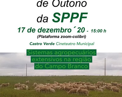 42ª Reunião de Outono da SPPF acontece em dezembro