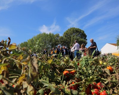 A agricultura inteligente para um futuro sustentável