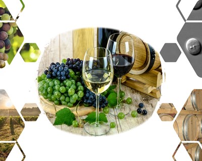 A complexidade num copo de vinho revelada pela espectrometria de massa - Bibliografia