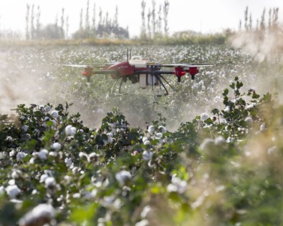A importância da agricultura de precisão para os agricultores