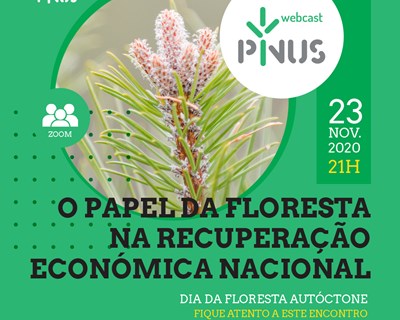 A importância da floresta para Portugal