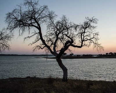 A importância do regadio em Portugal