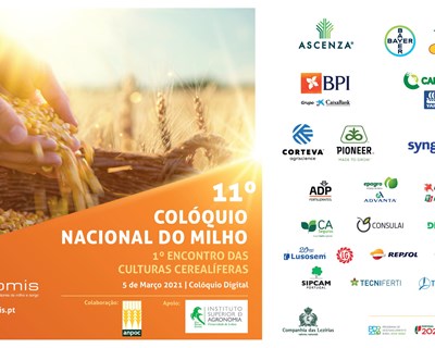 Abertas as inscrições para o 11º Colóquio Nacional do Milho 2021