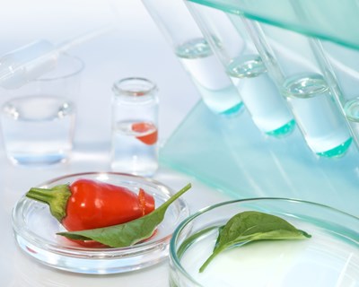 Ação de formação HACCP básico