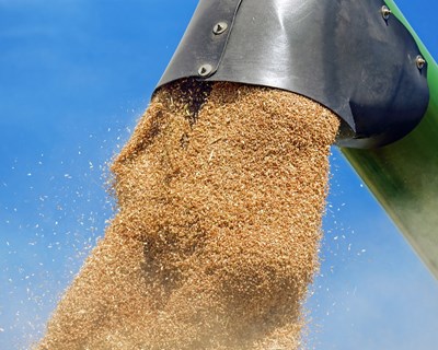 ACICO organiza Portugal’s Commodities Exchange