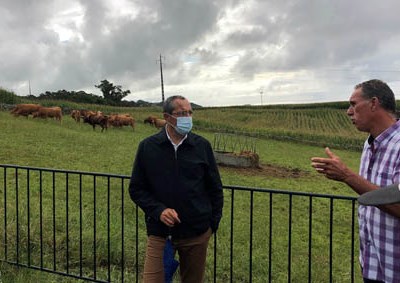Açores avançam para a certificação do bem-estar animal