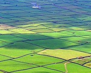 Açores reforçam apoio à Instalação de Jovens Agricultores