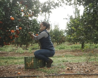 ADP Fertilizantes assinala Dia da Mulher mostrando a sua importância para o setor agrícola