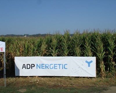 ADP Fertilizantes participou em dia de campo em Coimbra