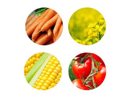 ADP Fertilizantes patrocina AgroGlobal 2018