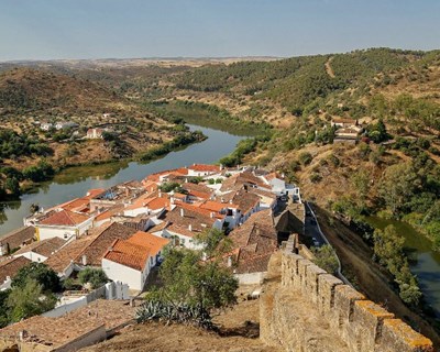 ADPM desafia agricultores a instalarem sistemas agroflorestais