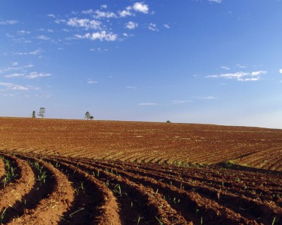 Agricultores do Sul reivindicam novas medidas