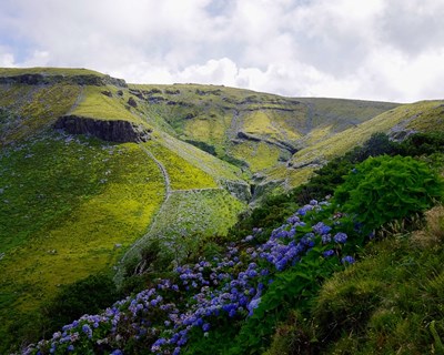 Agricultores dos Açores recebem 22 milhões de ajudas no último dia do ano