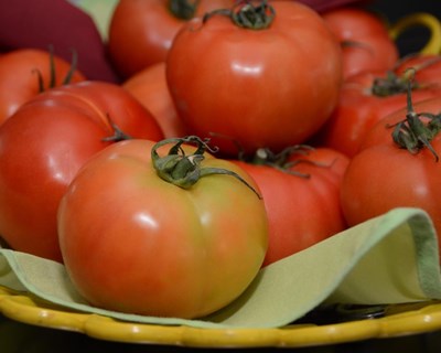 Agricultura biológica cresce na República Checa