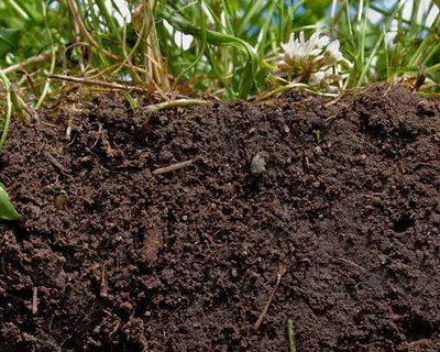 "Agricultura Biológica Passo a Passo" em seminário na ESAC