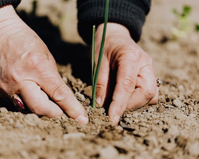 Agricultura circular para um futuro sustentável