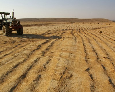 Agricultura e Biodiversidade: um equilíbrio fundamental
