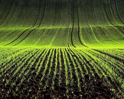Agricultura e energia com mais peso no Ambiente