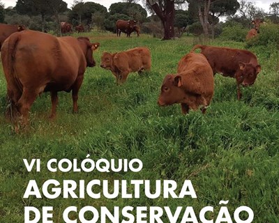 Agricultura e pecuária debatidas em Alcácer do Sal