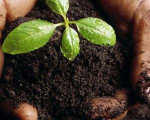 Agricultura Sustentável: consumidores e agricultores com visões distintas