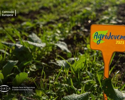 AgriJovem 2023: Representação da Comissão Europeia quer sensibilizar jovens para oportunidades profissionais na agricultura
