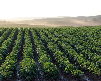 Agripro e Aquagri celebram parceria comercial