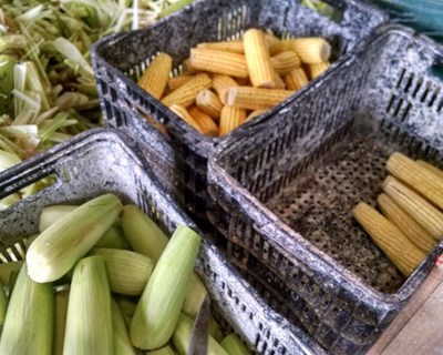 Agroalimentar: missão empresarial a Moçambique em agosto
