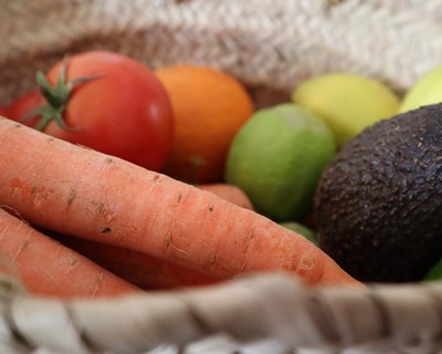 AGROBIO lança novas formações em 2024
