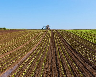 Agrobio promove curso de formação sobre Aplicação de Produtos Fitofarmacêuticos
