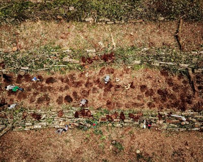 Agrofloresta para todos: PRETATERRA Academy forma novos profissionais