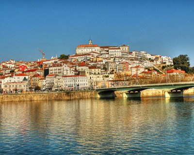 Agrogarante inaugura novo espaço em Coimbra
