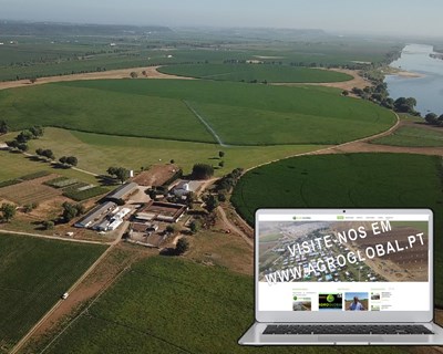 Agroglobal realiza conferências on line e visita virtual nos dias 9, 10 e 11 de setembro