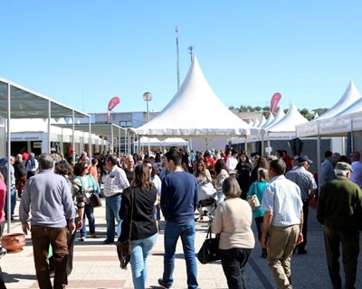Agropecuária: Fiape regressa a Estremoz