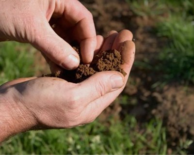 AGROTEC e Laboratório de Análises de Solos e Plantas da UTAD firmam Parceria