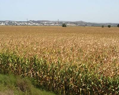 AGROTEJO: 30 anos a valorizar o norte do vale do Tejo