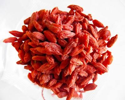 Águeda: dia de campo dedicado à goji