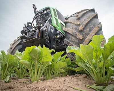 AJAP a 100% com os agricultores portugueses