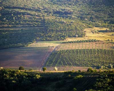 AJAP inicia “volta a Portugal” na defesa dos Territórios Rurais