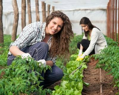 Município de Baião procura Jovens Agricultores