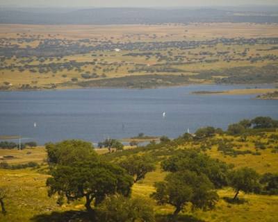 Alentejo: PDR 2020 com concurso aberto