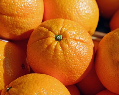 AlgarOrange faz balanço da campanha dos citrinos
