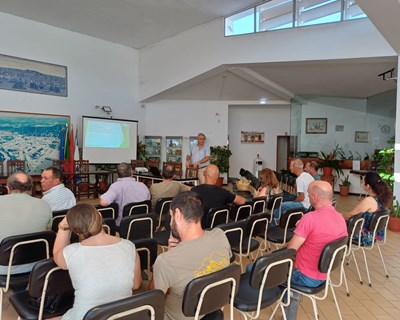 Algarve apresenta 250 candidaturas aos apoios à apicultura e biodiversidade