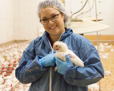 Alltech lança inquérito a nível mundial sobre mulheres na agricultura